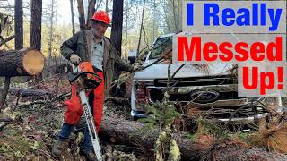 Huge Tree Falls the WRONG Way!