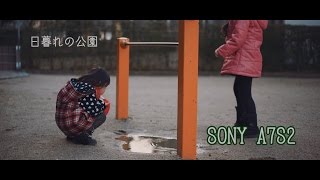 SONY A7S2 α7Sⅱ 4K (日暮れの公園)