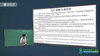 【北京大学】生物学概念与方法15 : 3.4 核酸与染色质