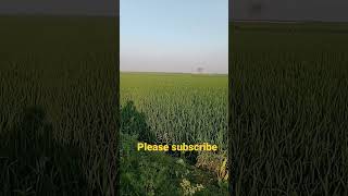 akasher anek tarar vire #shortvideo #shorts #short