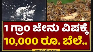 Bee Venom : ಔಷಧ ತಯಾರಿಕೆಯಲ್ಲಿ ಜೇನು ವಿಷಕ್ಕಿದೆ ಭಾರೀ ಬೇಡಿಕೆ | Mangalore | NewsFirst Kannada