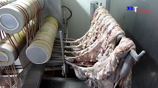 How Are Sausages Produced in Factories, Excellent Food Production and Processing Process