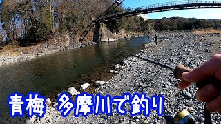 青梅 多摩川で釣り【東京】