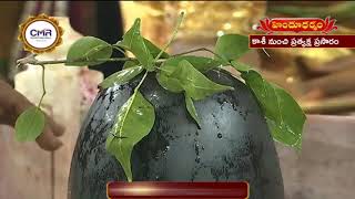 శ్రీ కాశీ విశ్వనాథునికి ప్రత్యేక అభిషేకం | Sri Kashi Vishwanath Swami Abhishekam | Hindu Dharmam