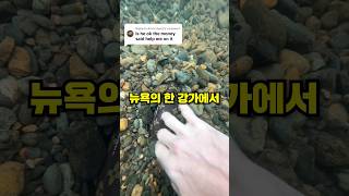 뉴욕에서 수천만 원 버는 신박한 방법