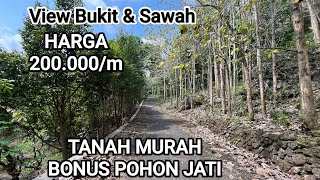 Jual Tanah Murah Cuma 200rb/meter Bonus Pohon Jati View Bukit & Sawah Di Kulonprogo Jogja