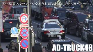 渋谷駅前スクランブル交差点を緊急走行する渋谷署パトカー！