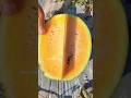 Rare Yellow Watermelon Cutting - Fruit Cutting Skills 😍😍 | Asian street food #shorts