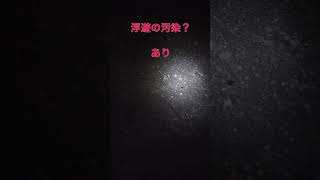 ★前中潮①：謎の浮遊物は何か？★旧江戸川バチ抜け調査報告71：2023年3月18日版#shorts【＃ 23年東京バチ抜け調査編：上げ潮・水温14度】旧江戸川、荒川、新中川、中川バチパターンの釣り