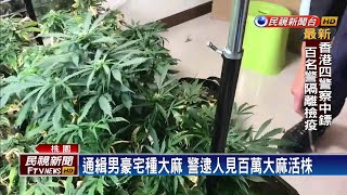 通緝男藏身豪宅種大麻 警逮人見百萬大麻活株－民視新聞