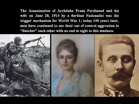 The Catalyst For World War I: The Assassination Of Archduke Franz ...