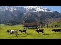 Frühling in Nidwalden