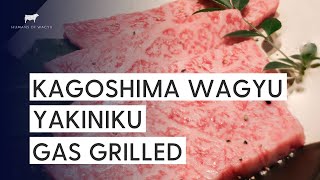 ASMR Kagoshima Wagyu Yakiniku in Osaka, Japan - Full Dining Experience