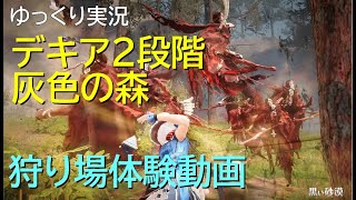 【黒い砂漠PC】デキア2灰色の森 覚醒WT 体験動画 【ゆっくり実況】