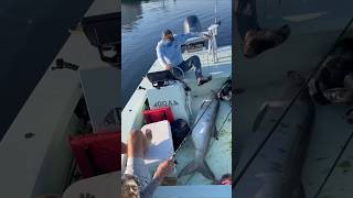 What out#jumped#big fishing#youtubeshorts