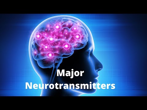 What are the 7 neurotransmitters?