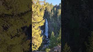 Breathtaking Waterfall in Rogue River National Forest | Stunning Nature in Seconds. #waterfall