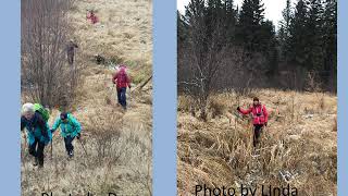 Tait Springs/Freight Trail Hike in the Prince Albert National Park