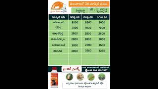 jhk market rate updates | Today Market Prices of Green chilli \u0026 Tomato in telangana |   @JaiHoKisan