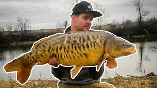 HUGE UNEXPECTED Catch: TROPHY Carp Fishing at It's Best!