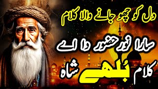 Punjabi kallam Baba Bulleh Shah | New Kalam 2024 | Sufiana Sufi Kaalam Sara Nor Hazor  by Fakhar 24