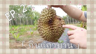 กินแถวบ้าน EP. 2 พาชมสวนทุเรียนหมอนทองจุกๆ พร้อมกับผลไม้หลากหลายชนิด 🤤🌳 @สวนต้าระยอง