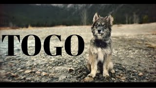 togo during childhood (part 2) | togo movie