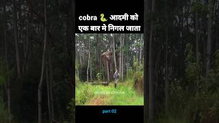 आदमी cobra को निगल जाता है | explain in hindi new movie | #shorts #youtubeshorts