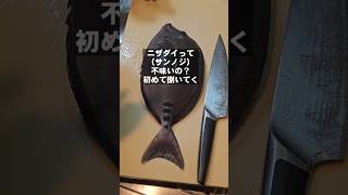 釣り人から嫌われるニザダイ(サンノジ)って魚本当に不味いの？初めて捌いて食ってみた