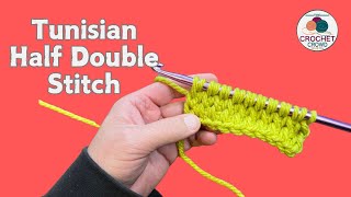 Left Hand: 17 - Half Double Stitch or tdhs: Beginner's Tunisian Workshop #tunisian