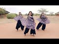 pasoori dance cover vishaka saraf choreography ali sethi shae gill coke studio