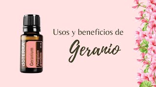 Geranio doTERRA - Usos y beneficios físicos y emocionales