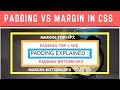 Tip of the Day #19: Differences Between Padding and Margin in Hindi | Padding margin Border in CSS