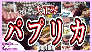 【大正琴】「パプリカ」paprika