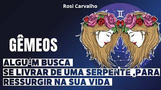 🔱 GÊMEOS ⚘️ALGUÉM BUSCA A ESPIRITUALIDADE PARA SE LIVRAR DE UMA SERPENTE 🐍 E RESSURGIR NA SUA VIDA..