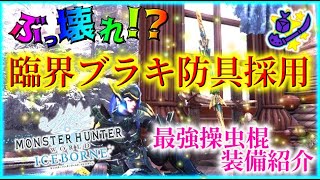 【MHWI】もはやぶっ壊れ！？臨界ブラキの防具を採用した最強操虫棍装備の紹介！【最強テンプレ装備ブラキカイザー】