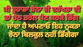 ਦਰਖਤਾਂ ਦੀ ਛਾਂ ਹੇਠਾਂ ਤਰੇਲ ਕਰਕੇ ਤੁਹਾਡਾ ਕੀ ਝੋਨਾ ਵੀ ਡਿੱਗ ਜਾਂਦਾ ਹੈ ਅਪਣਾਓ ਇਹ ਨੁਕਤਾ ਝੋਨਾ ਬਿਲਕੁਲ ਨਹੀ ਡਿੱਗੇਗਾ