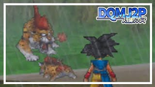 【DQMJ2P】キラーパンサーの親子 - ドラゴンクエストモンスターズジョーカー2プロフェッショナル