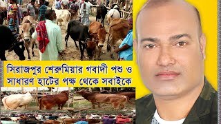 গরুর হাট|মানিকগঞ্জ সিংগাইর|Cow Hats | Manikganj Singair