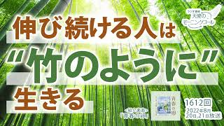 伸び続ける人は“竹のように”生きる 天使のモーニングコール 1612回（2022/8/20,21）