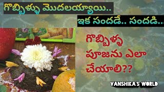 Journey of gobbillu | Andhra Gobbillu # Gobbilla pooja vidhanam | Process of sankranthi gobbillu 👌👌