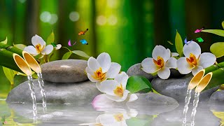 Relaxing Music for Meditation and Sleep - Bamboo Water Fountain, Relieve Stress and Depression #2