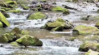 #stream brook river waterfall nature whatsapp status 4k