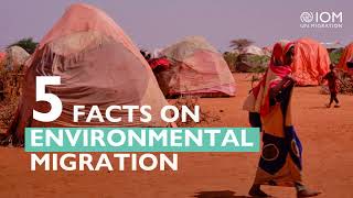 COP28 | 5 Facts About Environmental Migration