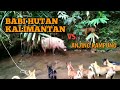 Berburu Babi hutan Besar