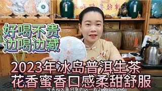 2023年冰岛普洱生茶，花香蜜香冰糖甜，能喝能存的高品质普洱茶