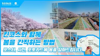 [kinkos] 벚꽃사진으로 포스터! 사진인화! 포토카드 만들기(feat.투명부채)