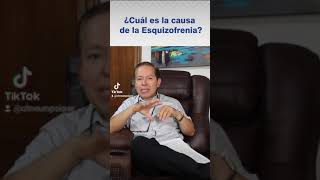 #PreguntaleAlDoc ¿Cuál es la causa de la Esquizofrenia? | Cit-Neuropsique