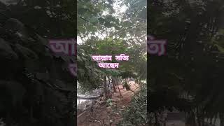 # যখন আপনি বিপদে পরবেন তখন বুঝতে পারবেন