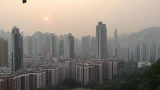 香港一日遊 漫遊深水埗: 嘉頓山 雪山冰廳 Hong Kong Sham Shui Po